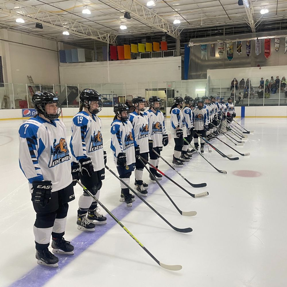 2026 MN Ice Cougars Tryouts gallery image 1