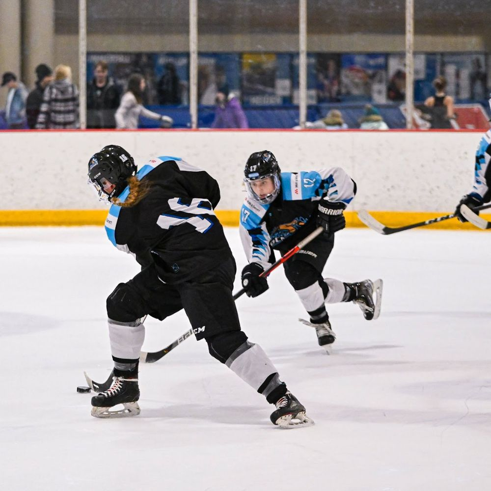 2026 MN Ice Cougars Tryouts gallery image 3